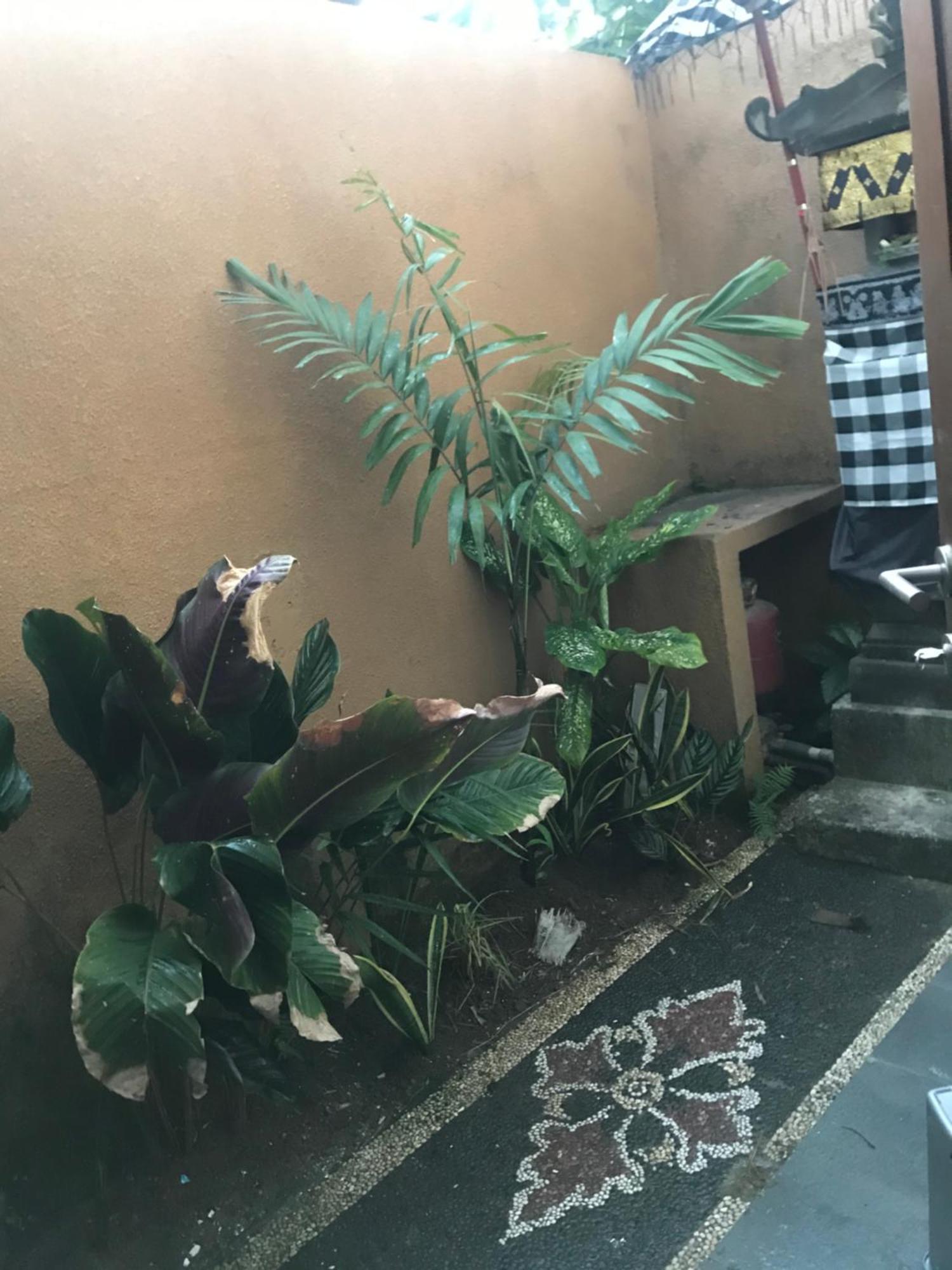 Griya Harum Rumah liburan